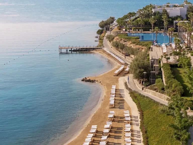 Animasyon &amp; Eğlence (3/3)